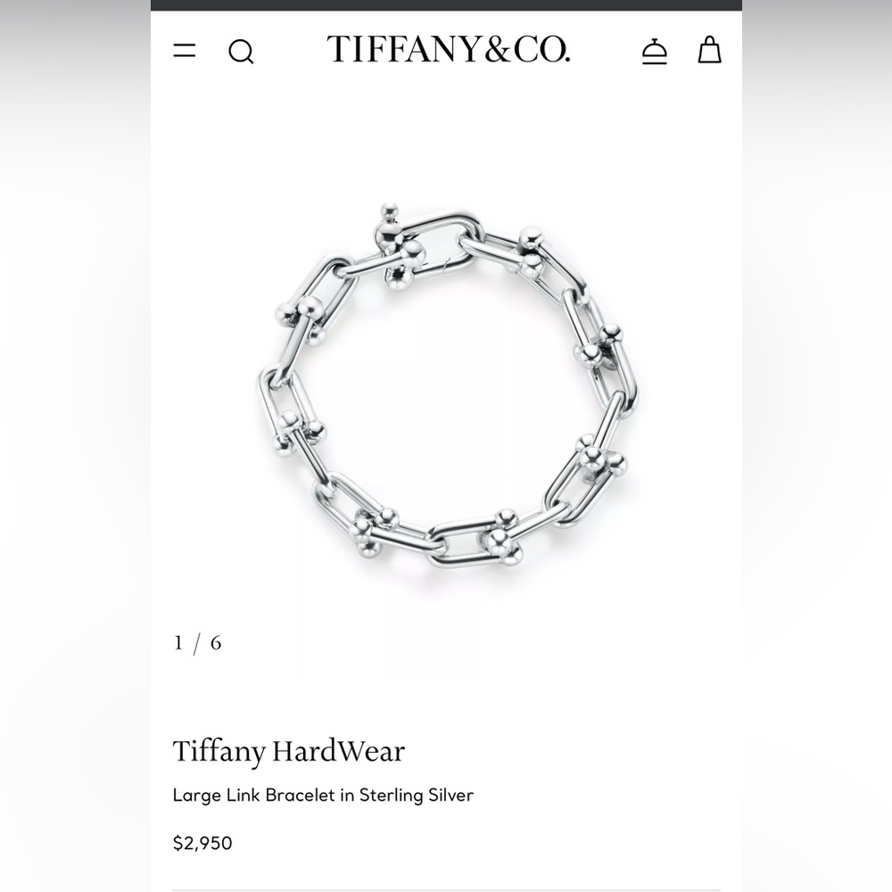 Tiffany & Co. Hardwear Link Bracelet Large